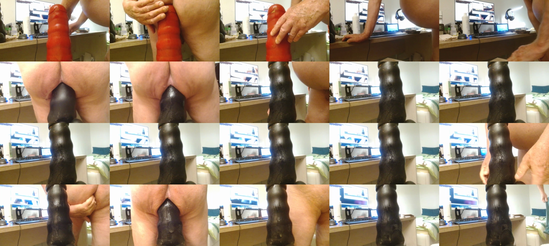 graufuxxx  09-11-2021